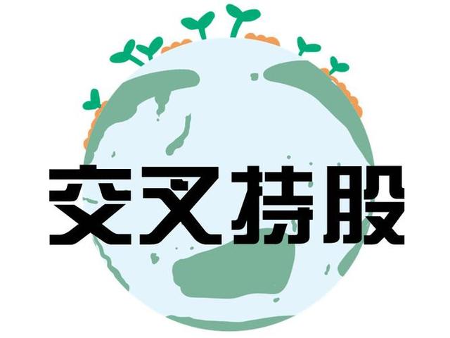 交叉持股安排设计(交叉持股怎么计算持股比例)河源市
