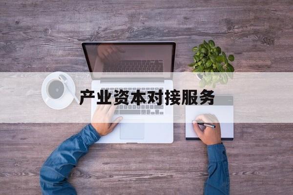 产业资本对接服务(产业资本对接服务包括哪些)河源市